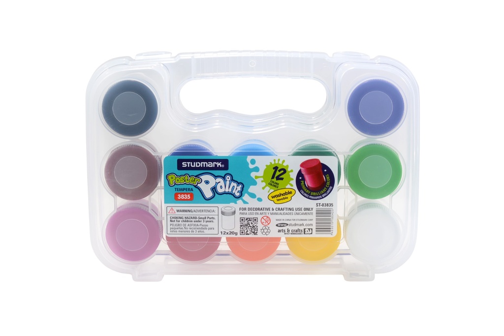 PINTURA POSTER ST-03835 MALETA 12X20G